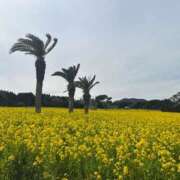 ヒメ日記 2025/03/23 11:10 投稿 美山つばめ 淫乱OL派遣商社 斉藤商事