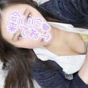 ヒメ日記 2025/03/29 15:18 投稿 美山つばめ 淫乱OL派遣商社 斉藤商事