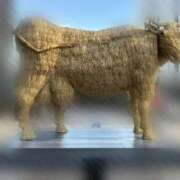 ヒメ日記 2025/01/27 19:14 投稿 鳴宮 つばさ マーベリック横浜