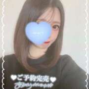 ヒメ日記 2025/02/20 08:33 投稿 はな シークレットサービス