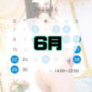 ヒメ日記 2025/06/03 14:20 投稿 碧（あお） 渋谷角海老