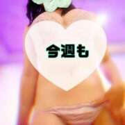 ヒメ日記 2025/06/10 09:20 投稿 碧（あお） 渋谷角海老