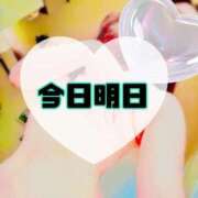 ヒメ日記 2025/07/24 16:00 投稿 碧（あお） 渋谷角海老