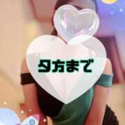 ヒメ日記 2025/08/05 14:00 投稿 碧（あお） 渋谷角海老