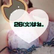 ヒメ日記 2025/08/26 00:22 投稿 碧（あお） 渋谷角海老