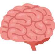 ヒメ日記 2025/09/27 15:50 投稿 碧（あお） 渋谷角海老