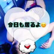 ヒメ日記 2025/10/17 09:20 投稿 碧（あお） 渋谷角海老