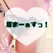 ヒメ日記 2025/11/11 09:50 投稿 碧（あお） 渋谷角海老