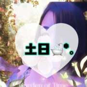 ヒメ日記 2025/11/15 09:50 投稿 碧（あお） 渋谷角海老