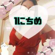 ヒメ日記 2025/11/21 09:40 投稿 碧（あお） 渋谷角海老