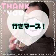 ヒメ日記 2025/12/16 09:50 投稿 碧（あお） 渋谷角海老