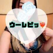 ヒメ日記 2025/12/17 11:36 投稿 碧（あお） 渋谷角海老