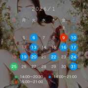 ヒメ日記 2025/12/30 11:10 投稿 碧（あお） 渋谷角海老