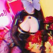 ヒメ日記 2026/02/18 11:20 投稿 碧（あお） 渋谷角海老