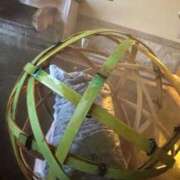 碧（あお） 💙ベロっ…💙 渋谷角海老