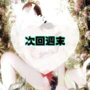 ヒメ日記 2026/03/18 10:40 投稿 碧（あお） 渋谷角海老