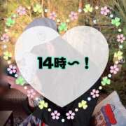 ヒメ日記 2026/04/13 07:40 投稿 碧（あお） 渋谷角海老