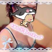 ヒメ日記 2026/04/13 13:50 投稿 碧（あお） 渋谷角海老