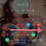 ヒメ日記 2026/05/11 11:50 投稿 碧（あお） 渋谷角海老