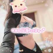 ヒメ日記 2026/05/14 13:40 投稿 碧（あお） 渋谷角海老