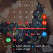 ヒメ日記 2026/06/05 11:40 投稿 碧（あお） 渋谷角海老