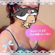 ヒメ日記 2026/06/08 09:50 投稿 碧（あお） 渋谷角海老