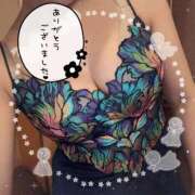 ヒメ日記 2026/06/13 23:31 投稿 碧（あお） 渋谷角海老