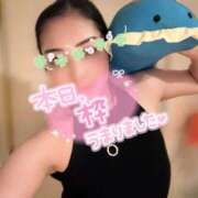 ヒメ日記 2026/06/14 15:40 投稿 碧（あお） 渋谷角海老