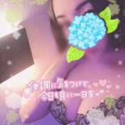 ヒメ日記 2026/06/18 11:10 投稿 碧（あお） 渋谷角海老