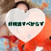 ヒメ日記 2026/07/01 13:24 投稿 碧（あお） 渋谷角海老