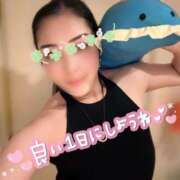 ヒメ日記 2026/07/25 10:30 投稿 碧（あお） 渋谷角海老