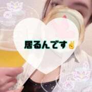 ヒメ日記 2026/07/27 10:20 投稿 碧（あお） 渋谷角海老