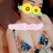 ヒメ日記 2026/07/27 15:40 投稿 碧（あお） 渋谷角海老