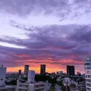 ヒメ日記 2026/07/30 12:00 投稿 碧（あお） 渋谷角海老