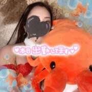 ヒメ日記 2026/08/03 15:40 投稿 碧（あお） Mirage(渋谷)