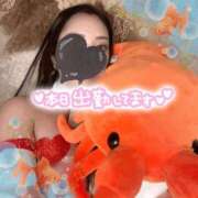 ヒメ日記 2026/08/23 15:10 投稿 碧（あお） Mirage(渋谷)