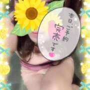 ヒメ日記 2026/08/30 14:30 投稿 碧（あお） Mirage(渋谷)