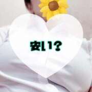 ヒメ日記 2026/09/05 13:40 投稿 碧（あお） Mirage(渋谷)
