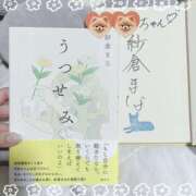 ヒメ日記 2024/12/17 22:10 投稿 ナデシコ AMOUR（アムール）