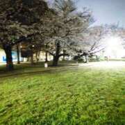 ヒメ日記 2025/04/06 10:37 投稿 ゆら 新橋夜這右衛門娼店～夜這・即尺・痴漢・人妻～