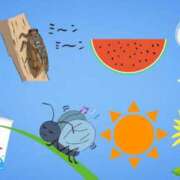 ヒメ日記 2025/08/22 15:01 投稿 ゆら 新橋夜這右衛門娼店～夜這・即尺・痴漢・人妻～