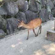 ヒメ日記 2024/07/30 09:47 投稿 今井 まこと 人妻の雫 岡山店