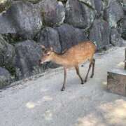 ヒメ日記 2024/10/08 09:24 投稿 今井 まこと 人妻の雫 岡山店