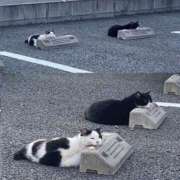 ヒメ日記 2025/02/14 18:14 投稿 今井 まこと 人妻の雫 岡山店