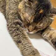 ヒメ日記 2025/02/21 08:54 投稿 今井 まこと 人妻の雫 岡山店