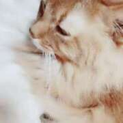 ヒメ日記 2025/02/27 07:34 投稿 今井 まこと 人妻の雫 岡山店