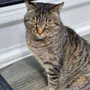 ヒメ日記 2025/04/05 10:14 投稿 今井 まこと 人妻の雫 岡山店