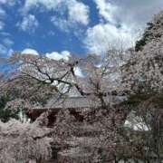 ヒメ日記 2025/04/05 12:44 投稿 今井 まこと 人妻の雫 岡山店