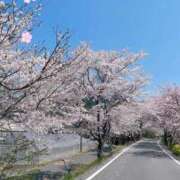 ヒメ日記 2025/04/13 08:09 投稿 今井 まこと 人妻の雫 岡山店