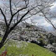 ヒメ日記 2025/04/14 19:44 投稿 今井 まこと 人妻の雫 岡山店